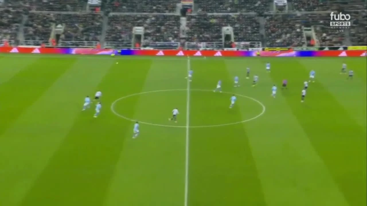 zaslepka skrotu video