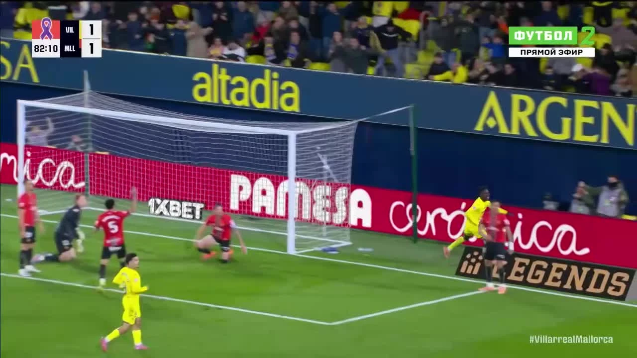 zaslepka skrotu video