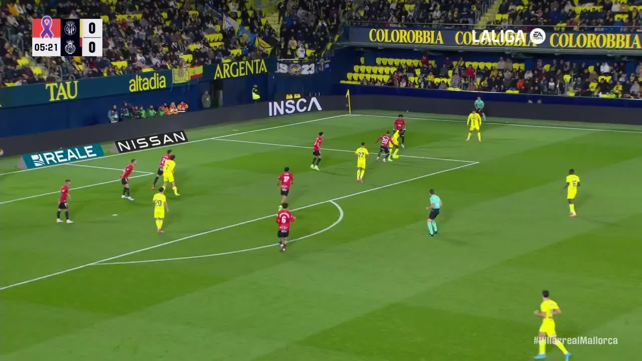 zaslepka skrotu video