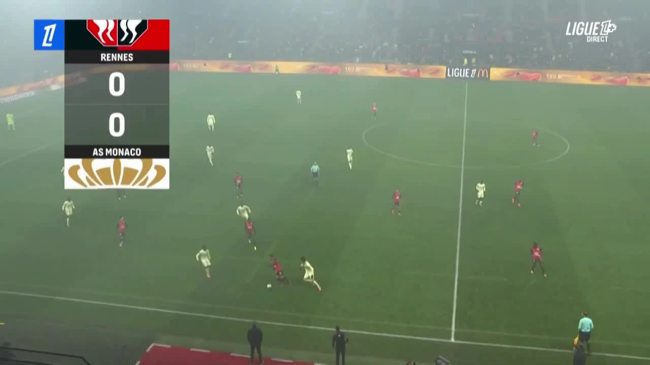 zaslepka skrotu video