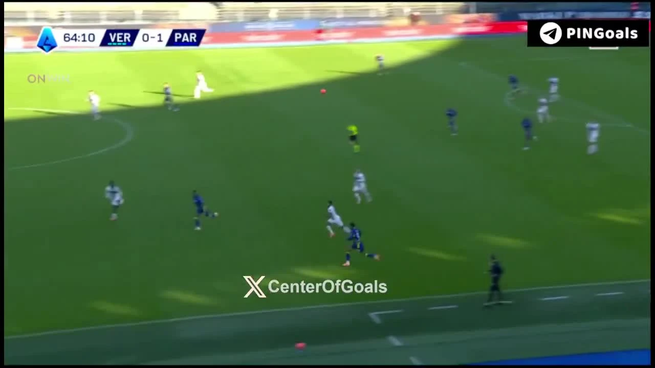 zaslepka skrotu video