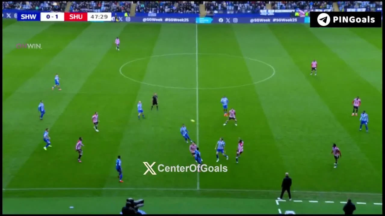 zaslepka skrotu video