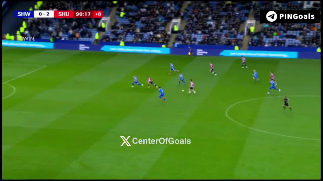 zaslepka skrotu video