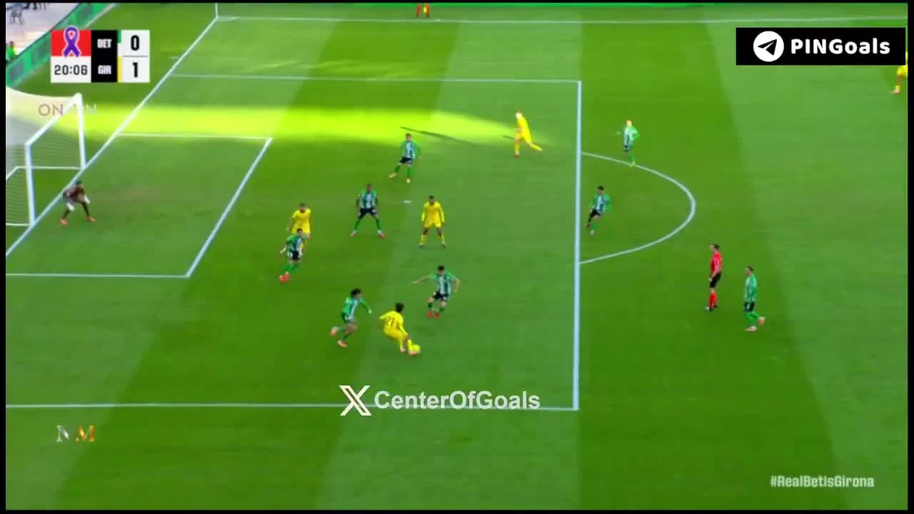 zaslepka skrotu video