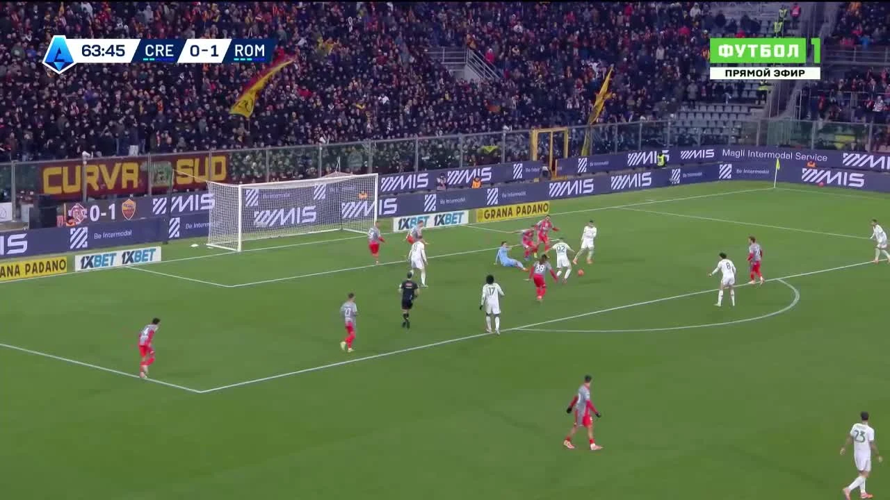 zaslepka skrotu video