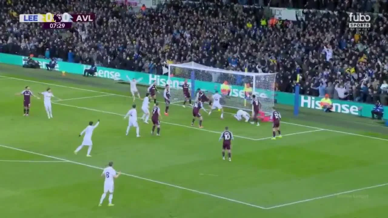 zaslepka skrotu video