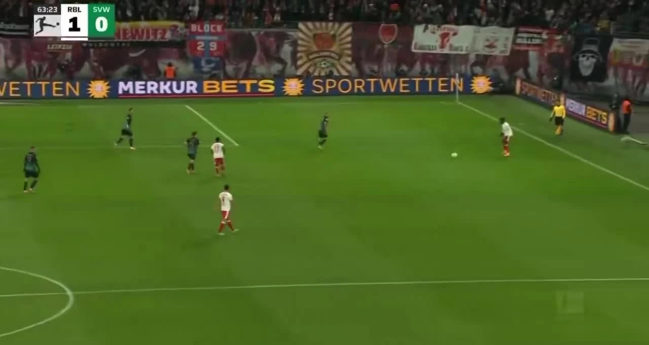 zaslepka skrotu video