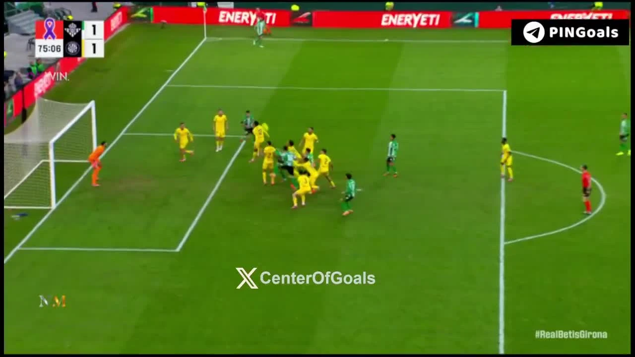 zaslepka skrotu video