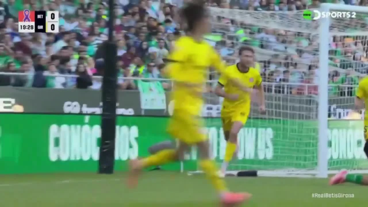 zaslepka skrotu video