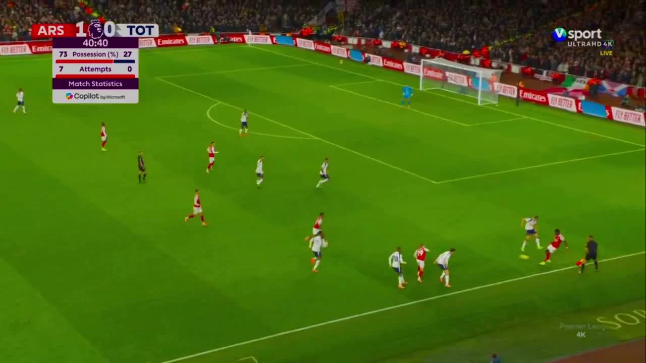 zaslepka skrotu video