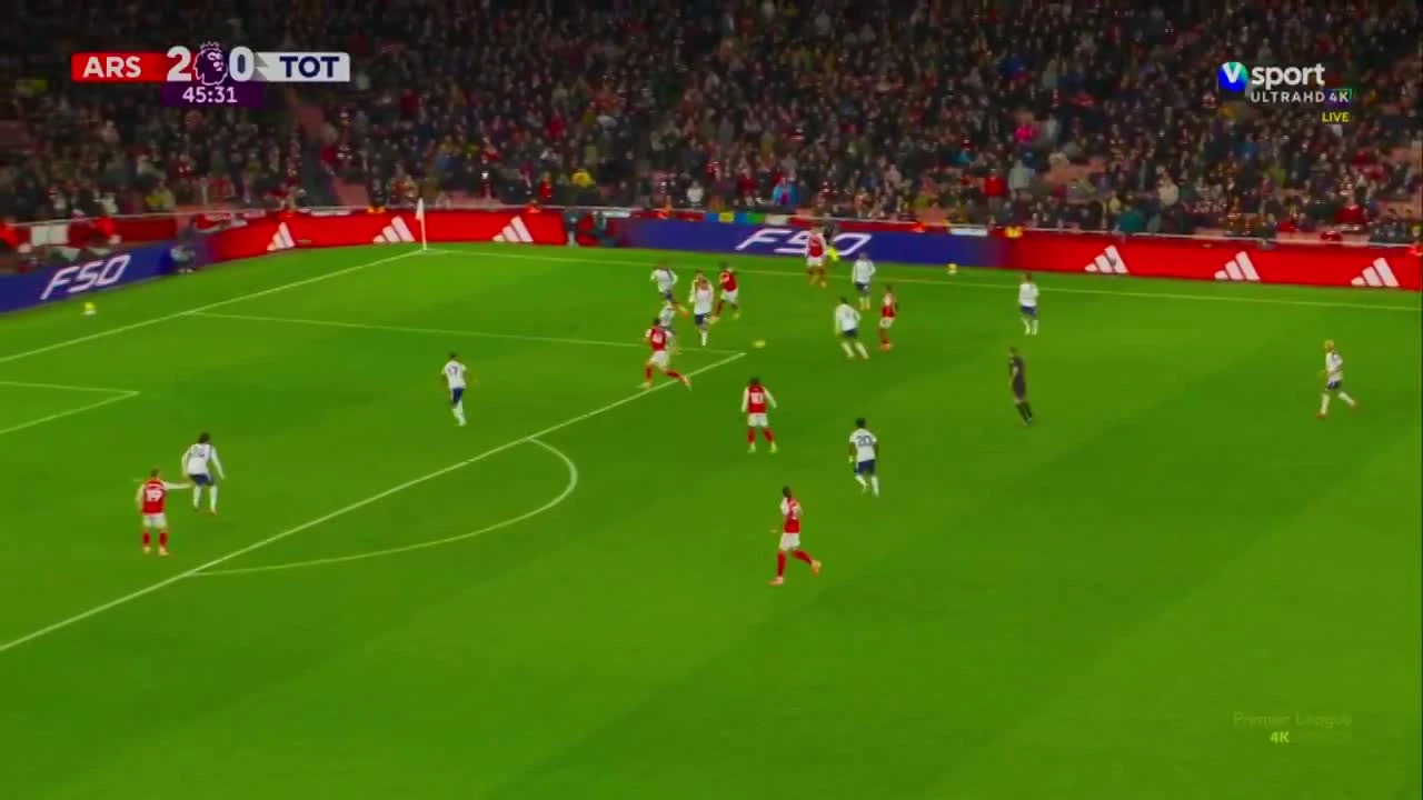 zaslepka skrotu video