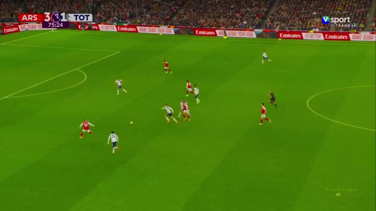 zaslepka skrotu video