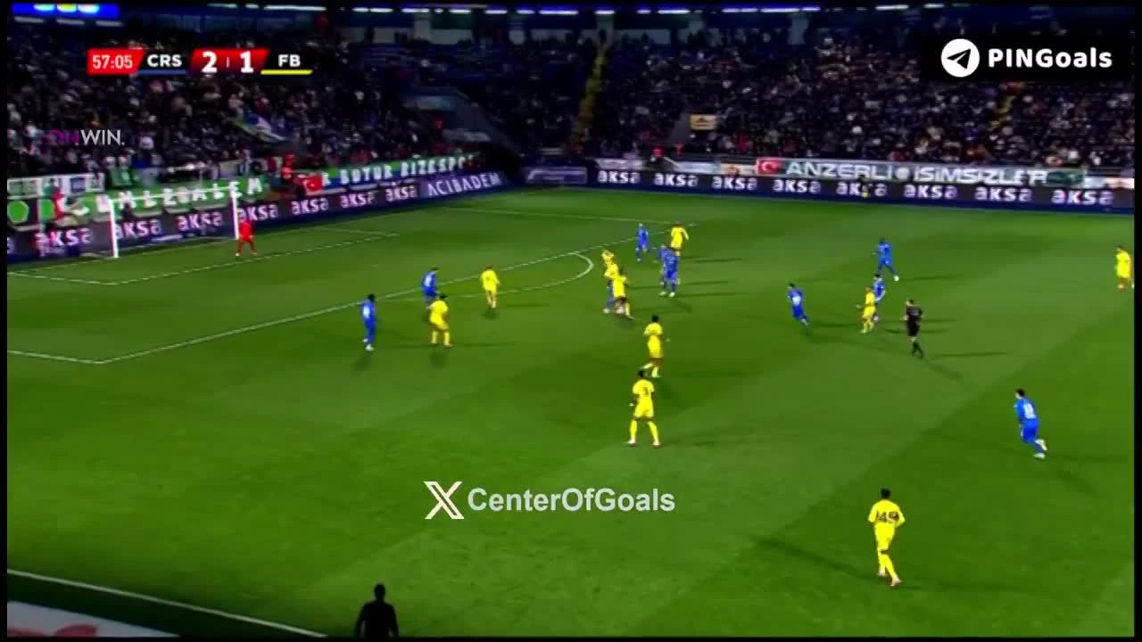 zaslepka skrotu video