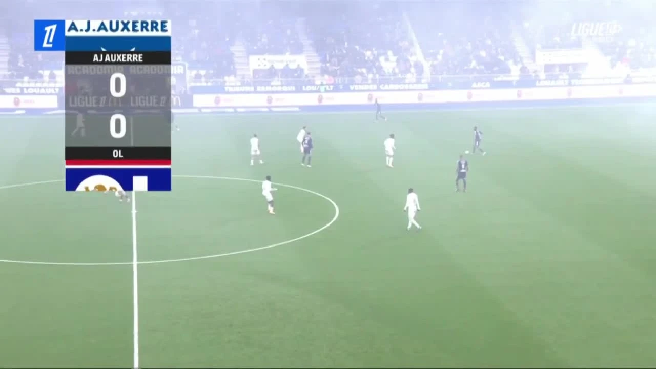 zaslepka skrotu video