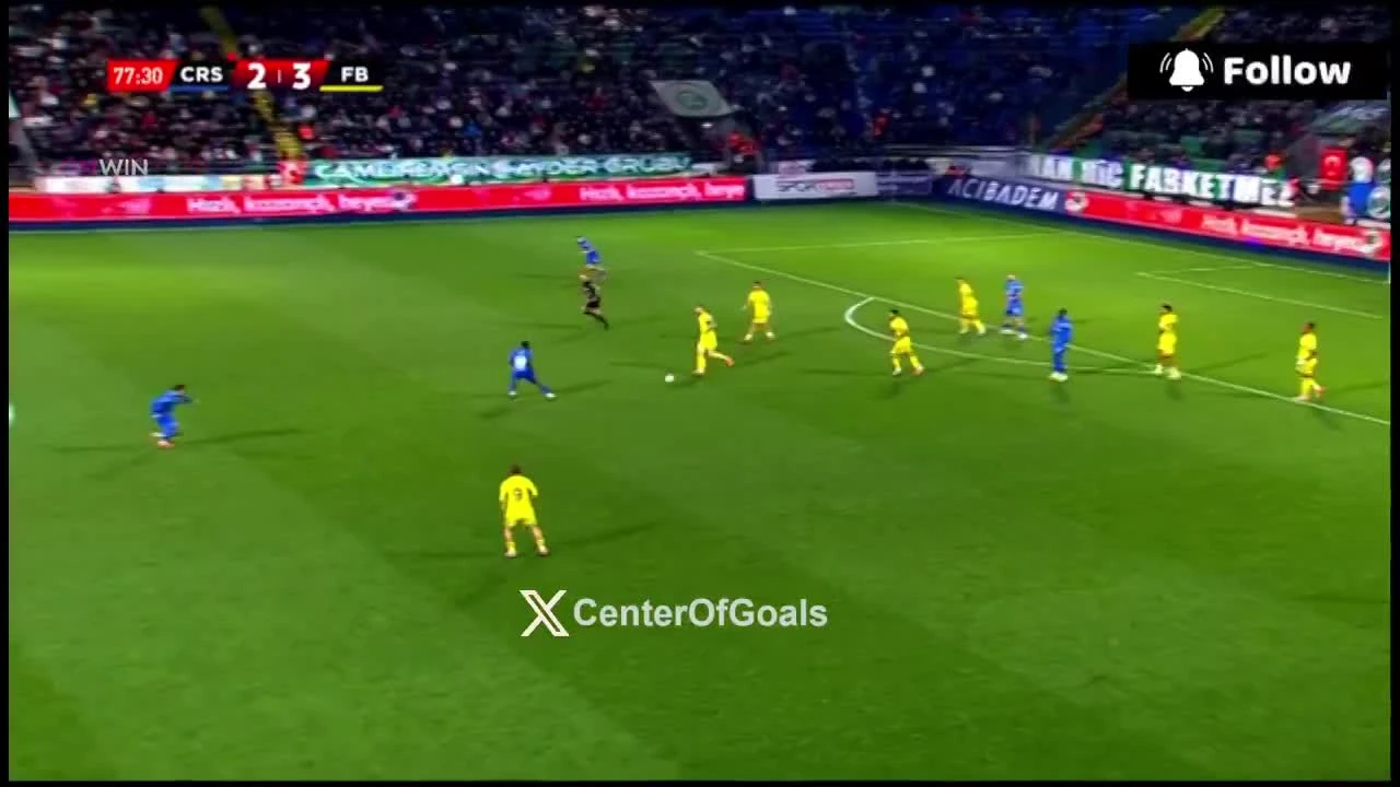 zaslepka skrotu video