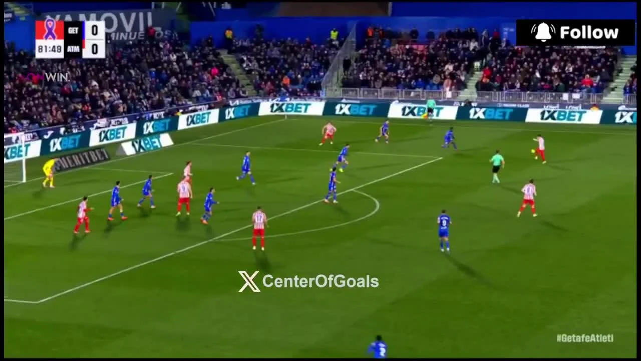 zaslepka skrotu video