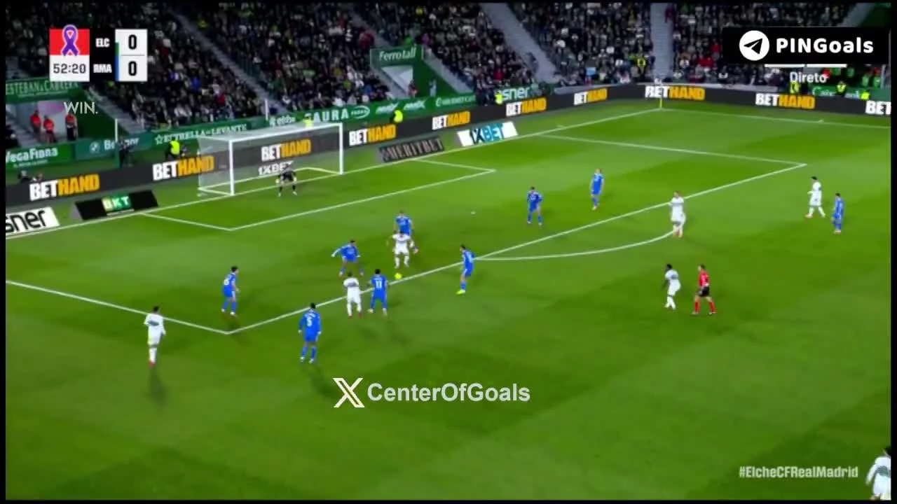 zaslepka skrotu video