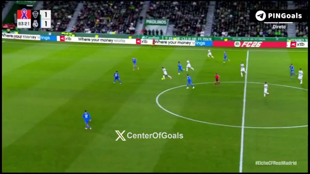 zaslepka skrotu video