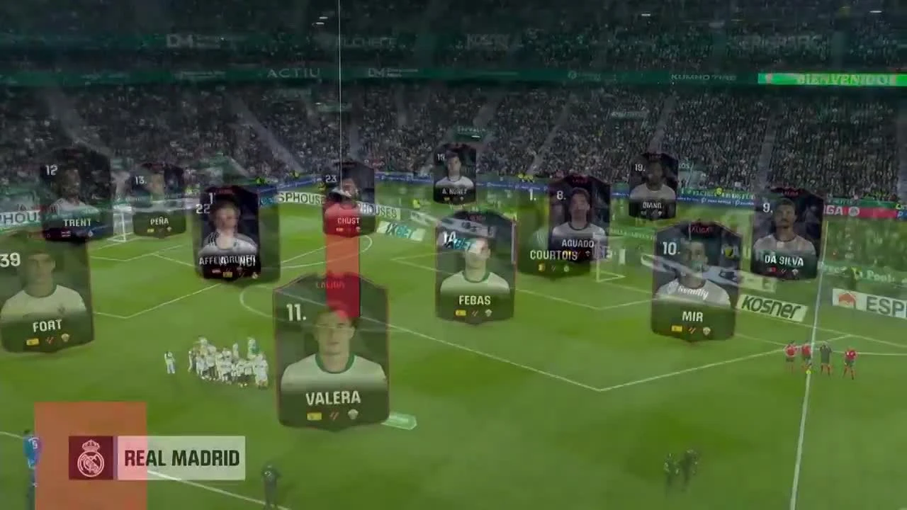 zaslepka skrotu video