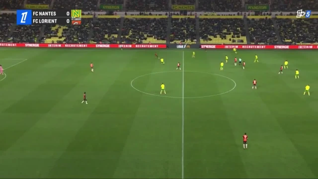 zaslepka skrotu video