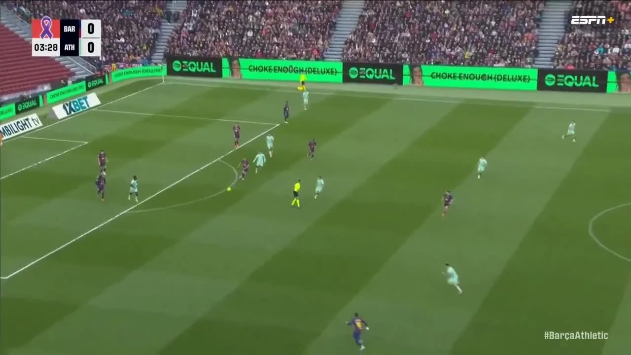 zaslepka skrotu video