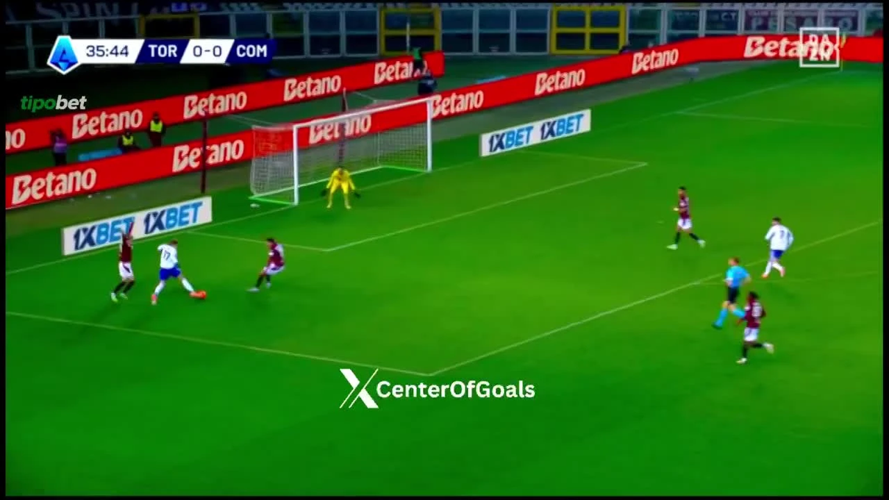 zaslepka skrotu video