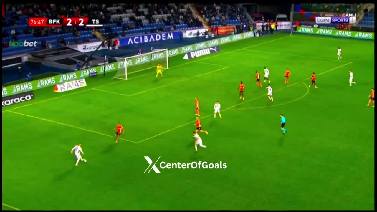 zaslepka skrotu video