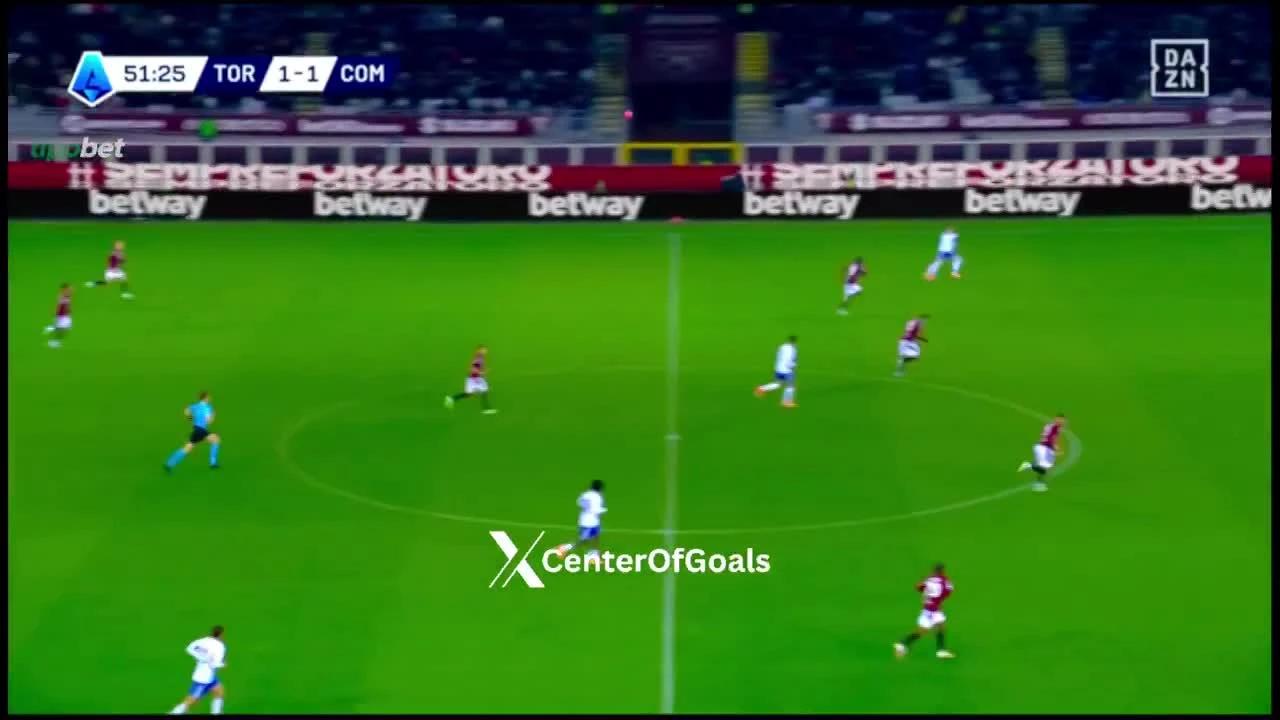 zaslepka skrotu video