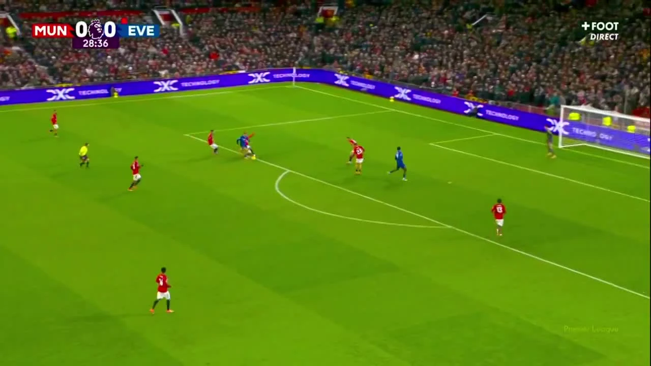 zaslepka skrotu video