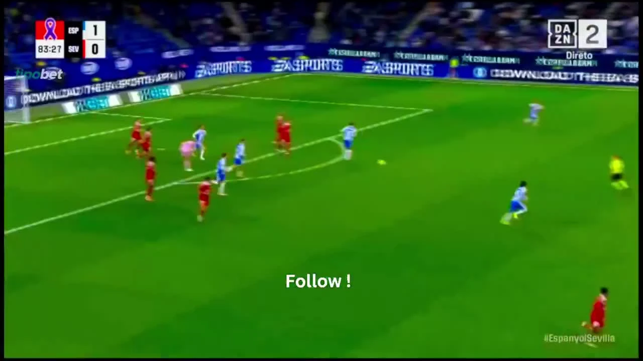 zaslepka skrotu video