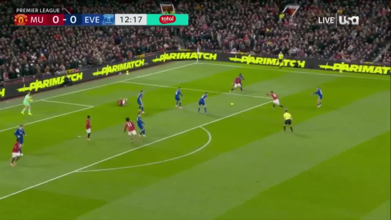 zaslepka skrotu video