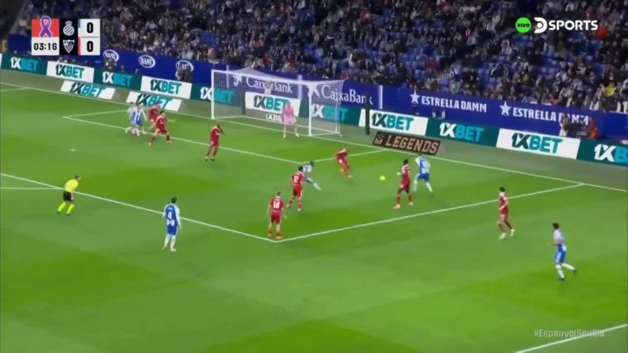 zaslepka skrotu video