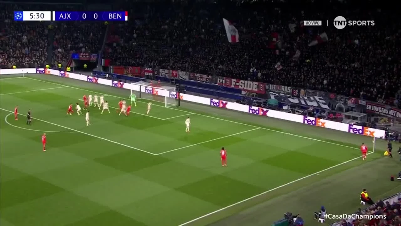 zaslepka skrotu video