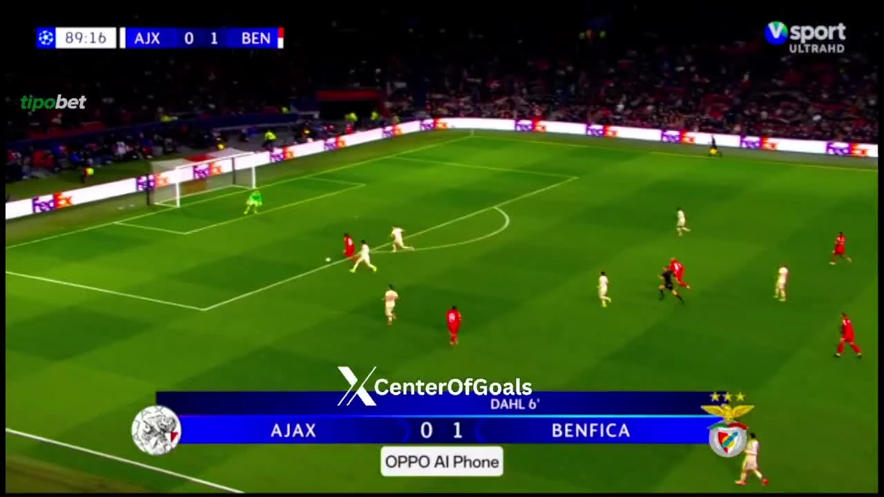 zaslepka skrotu video