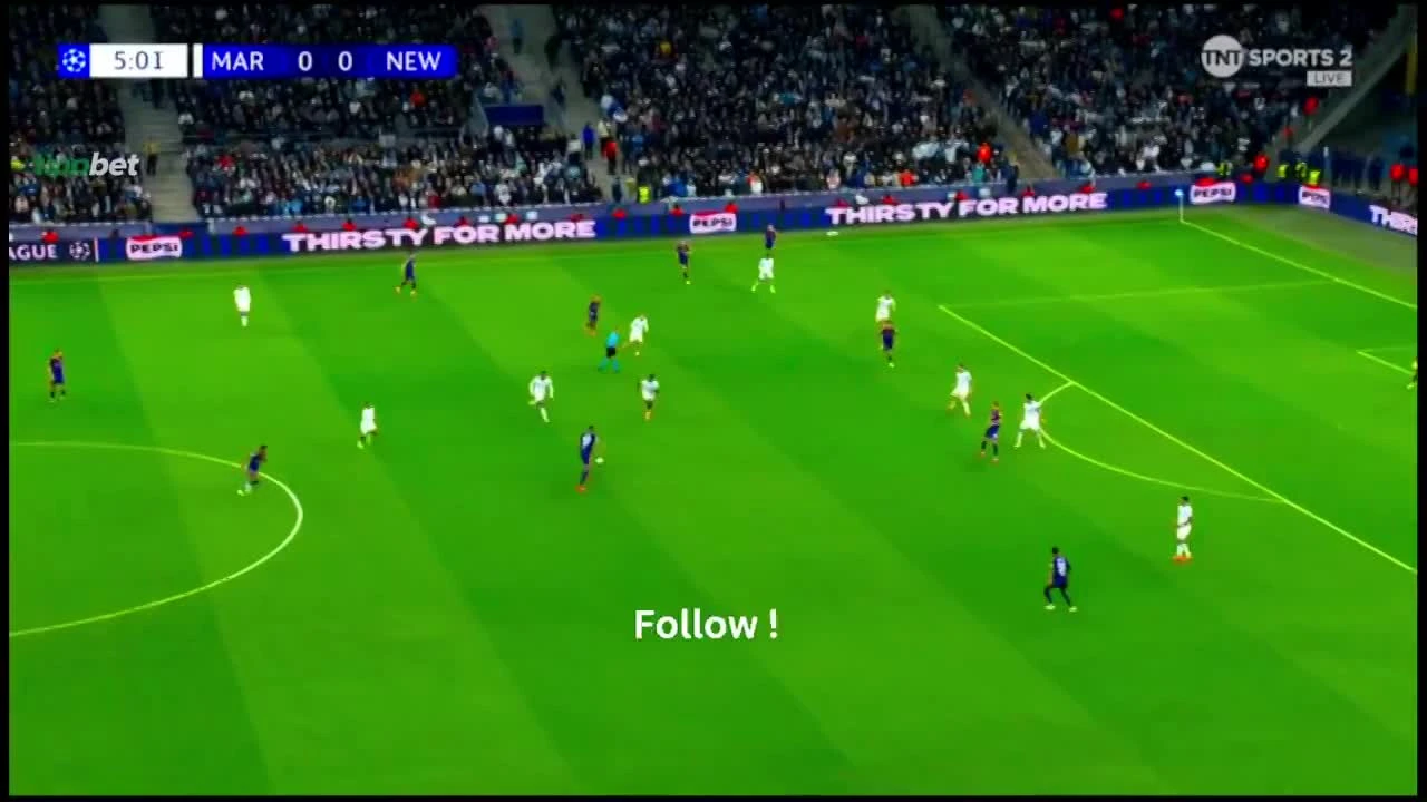 zaslepka skrotu video