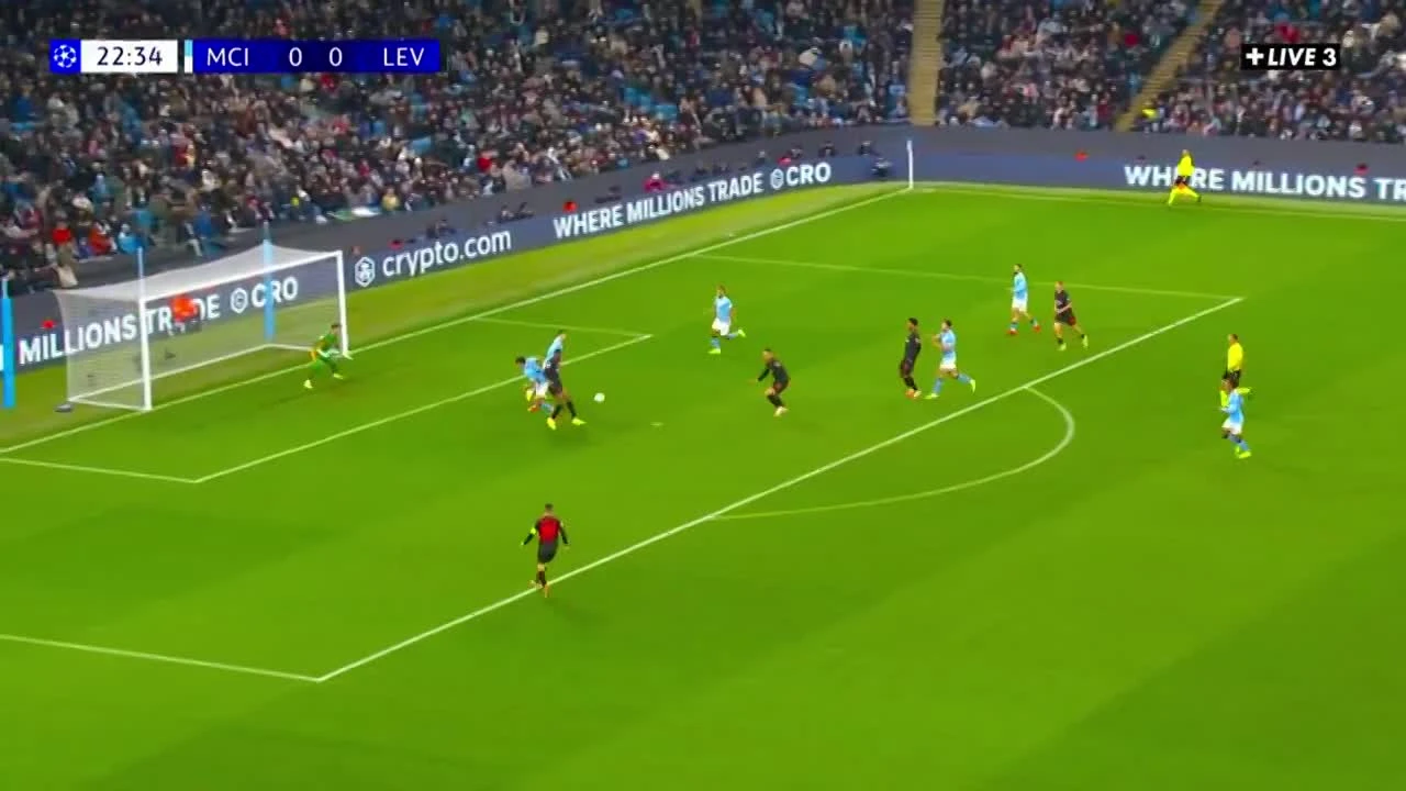 zaslepka skrotu video