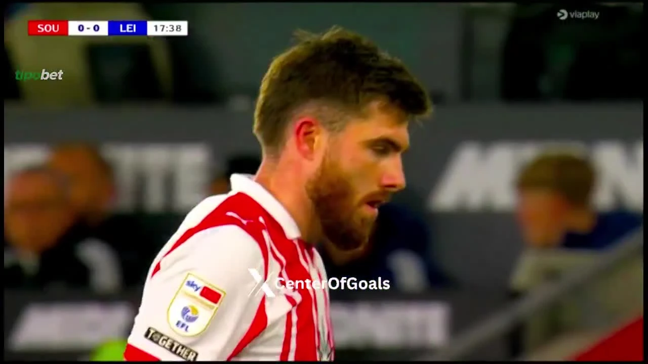 zaslepka skrotu video