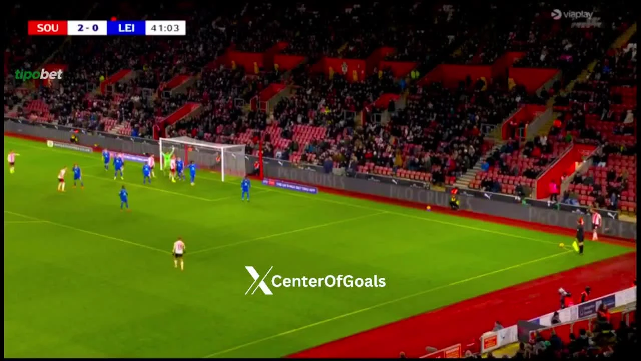 zaslepka skrotu video