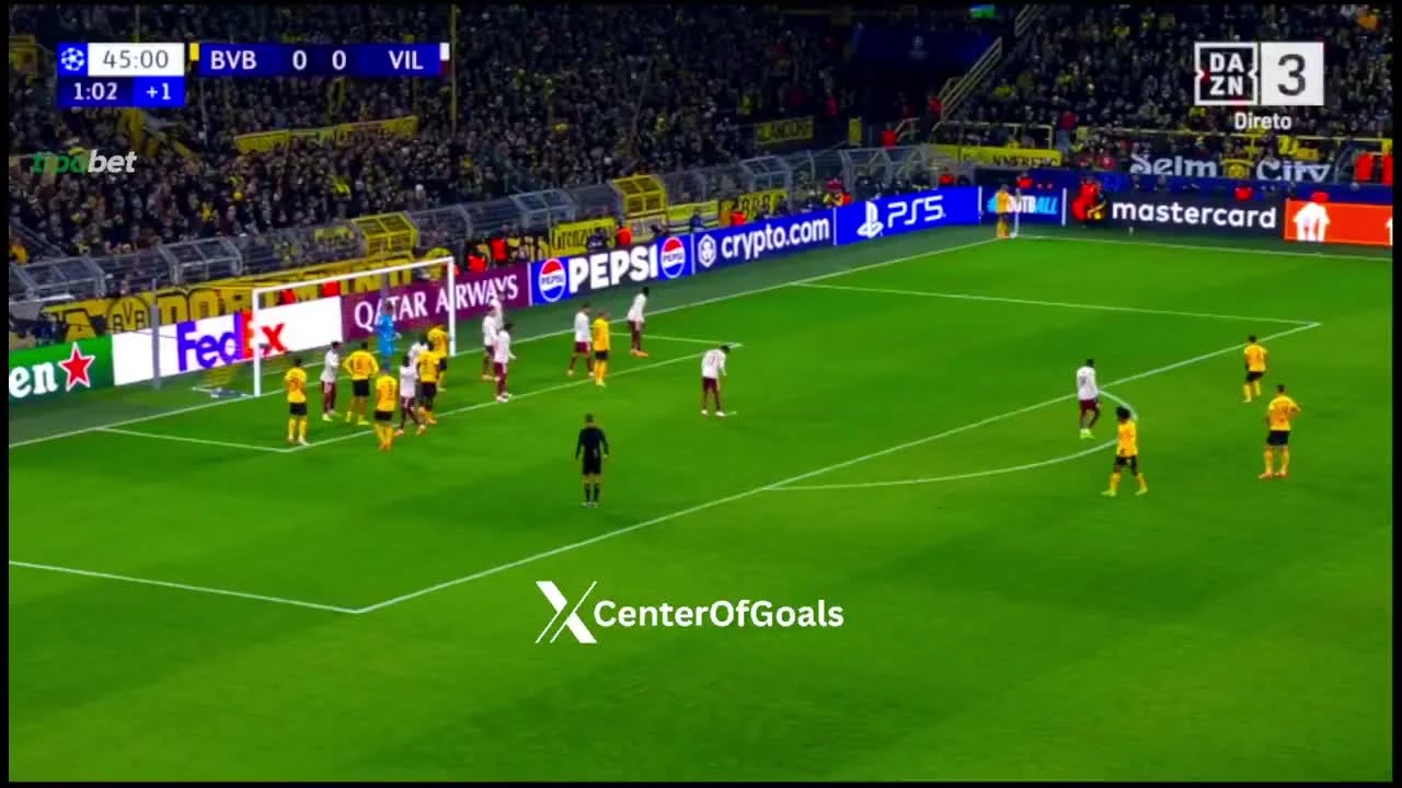 zaslepka skrotu video