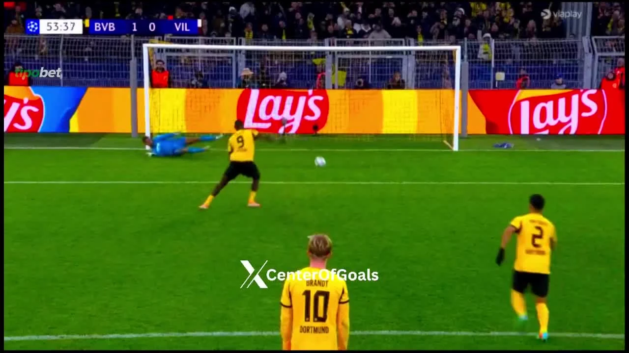 zaslepka skrotu video