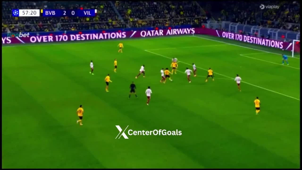 zaslepka skrotu video