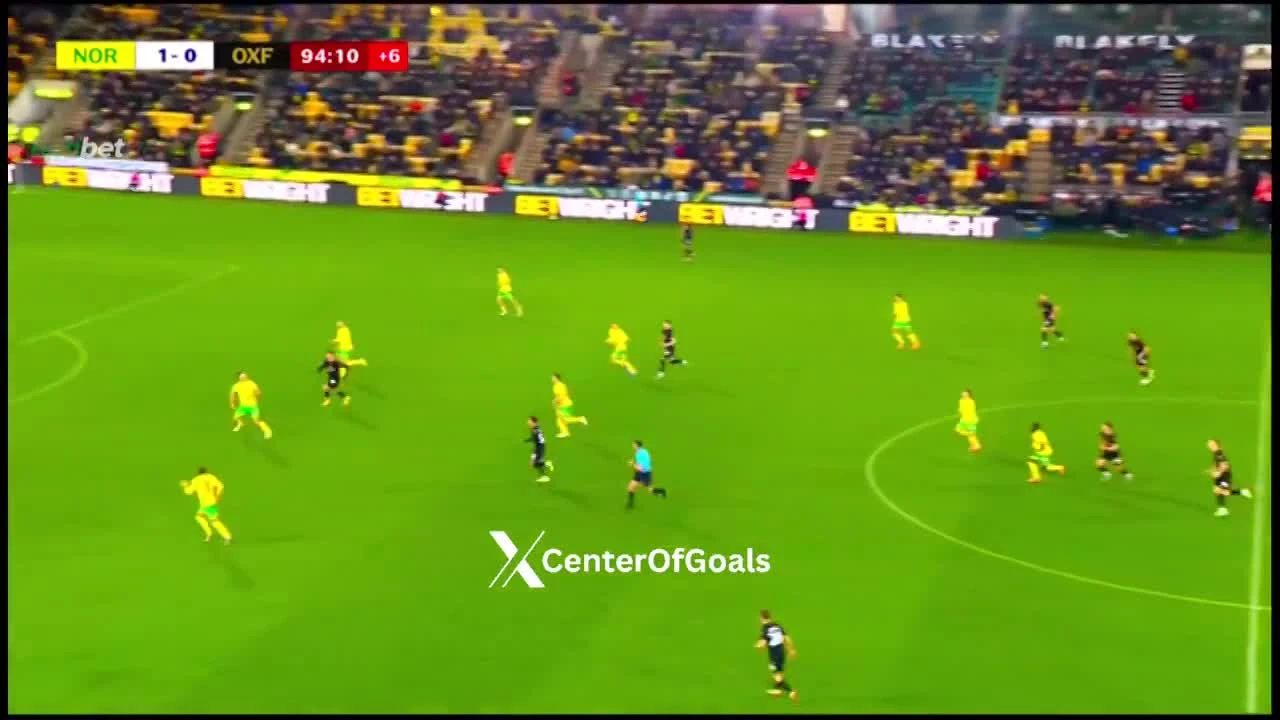 zaslepka skrotu video