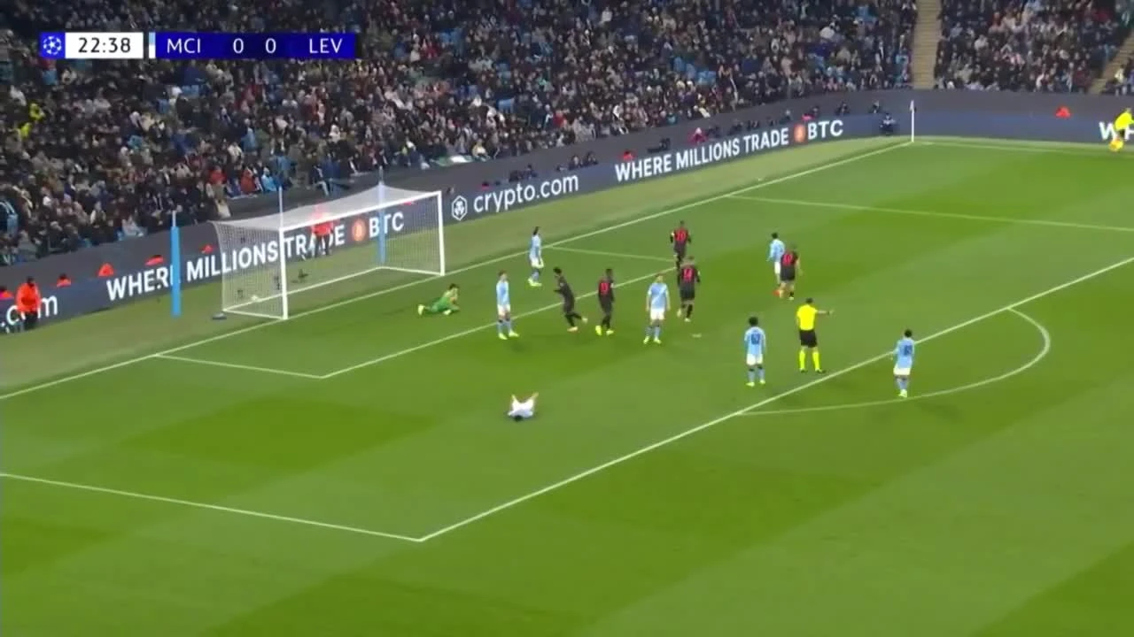 zaslepka skrotu video