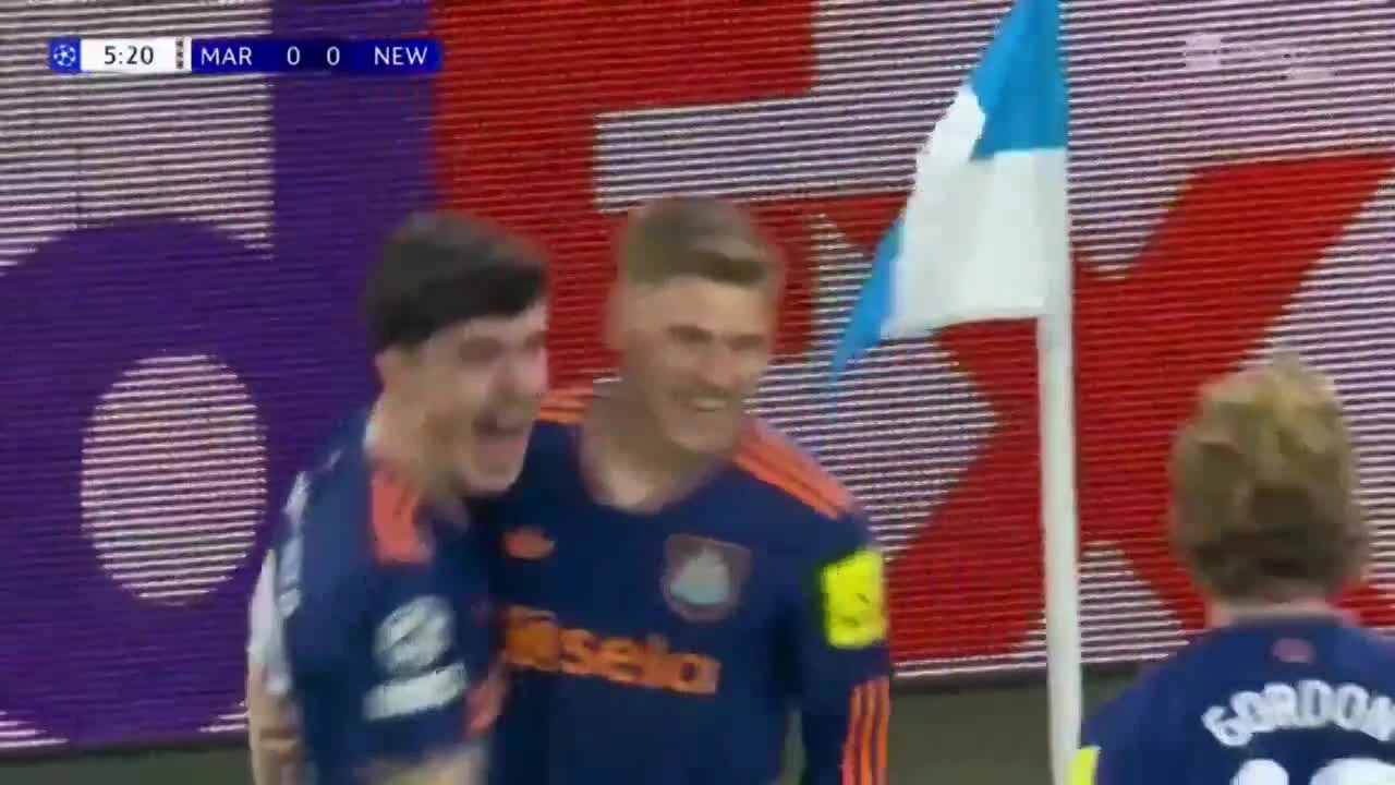 zaslepka skrotu video