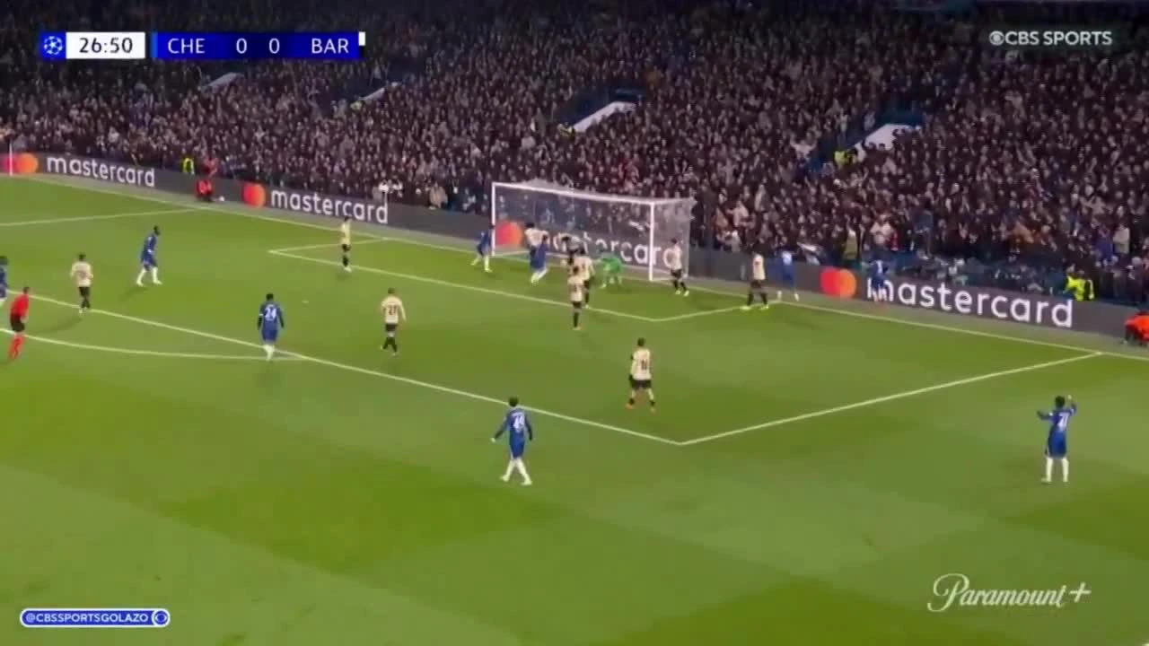 zaslepka skrotu video