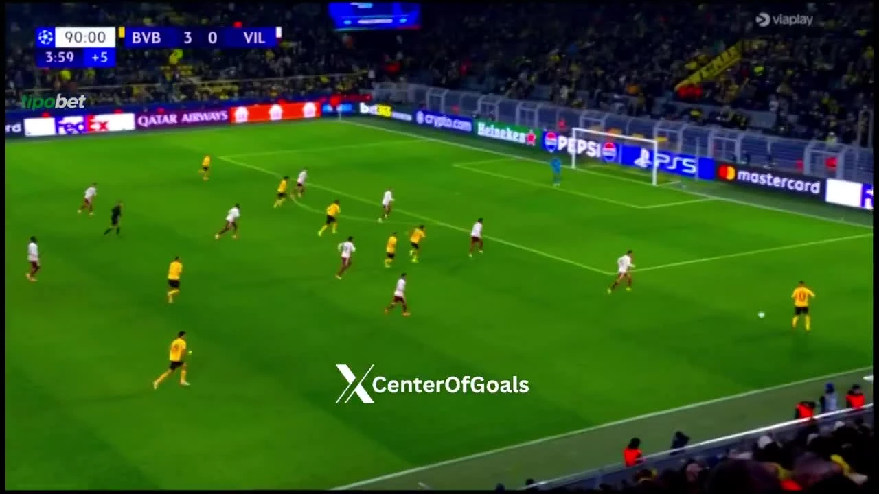 zaslepka skrotu video