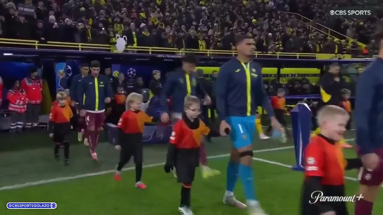 zaslepka skrotu video