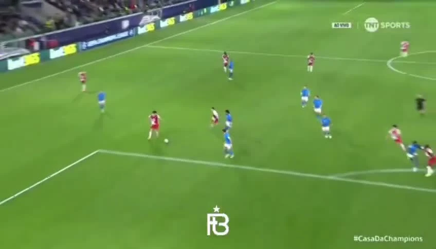 zaslepka skrotu video