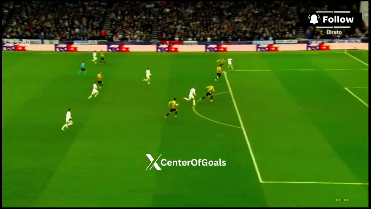 zaslepka skrotu video