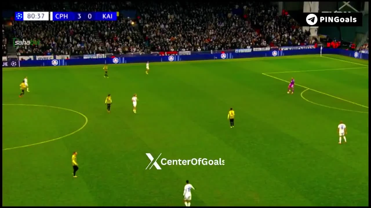 zaslepka skrotu video